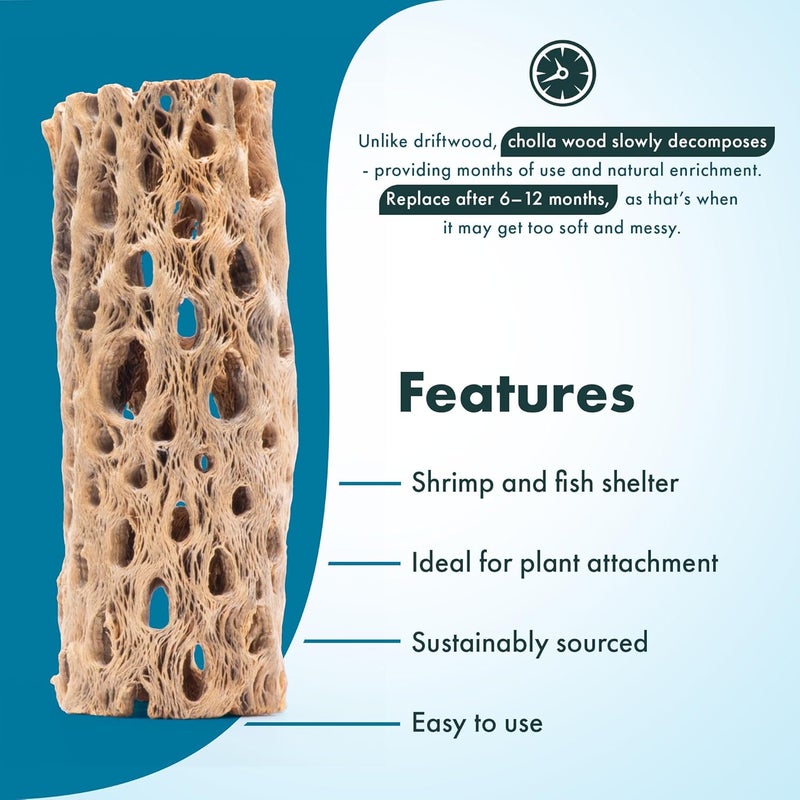 SubstrateSource Natural Cholla Wood - Driftwood for Aquariums, Air Plant Base, Hermit Crab and Freshwater Shrimp Hideout, Fish Tank Decoration, Chinchilla Chews, Reptile Habitat Wood - 4 Inch, 3pc - Image 3